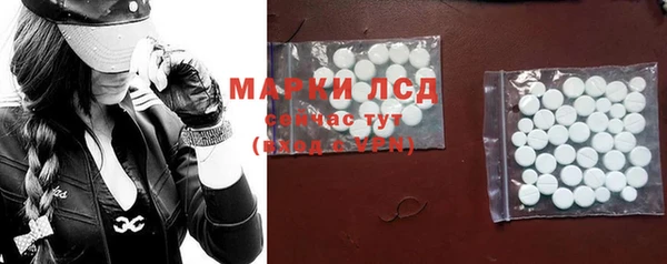 ешки Инта
