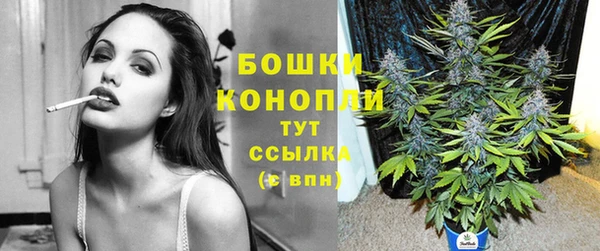 ешки Инта