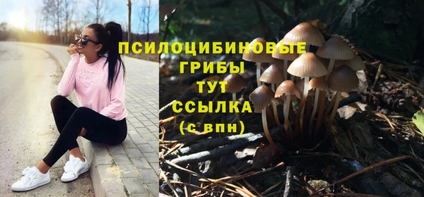 ешки Инта