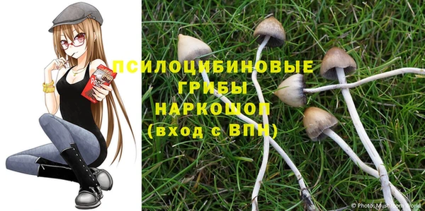 a pvp Иннополис