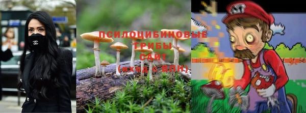 ешки Инта