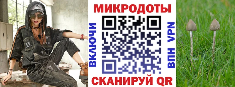 Галлюциногенные грибы Magic Shrooms  Купить  Инза 